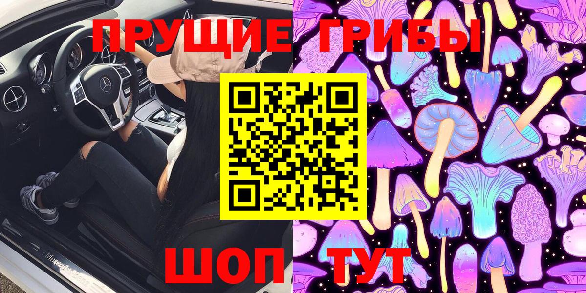 как найти наркотики  Вход с VPN  Красный Сулин  Псилоцибиновые грибы Psilocybe 